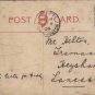 THE LAKE Darlington Park Postcard Martman 1906 Topo