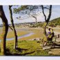 The Coast At GRANGE-OVER- SANDS Postcard   PT19431 Topo