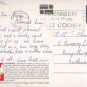 MORRAB GARDENS Penzance Cornwall Postcard / John Hinde Topo