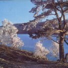 LOCH - AN - EILEAN POSTCARD INVERNESS / DIXON