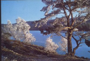 LOCH - AN - EILEAN POSTCARD INVERNESS / DIXON