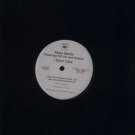 Ricky Martin Ft Fat Joe & Amerie - I Don't Care - EU 12" Single - CAS17250 ex/m