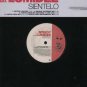 Speedy ft Lumidee - Sientelo - EU 12" Single - 12TIVDJ223 ex/ex