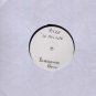 Ryze - In My Life - UK 12" Single -  ex/ex