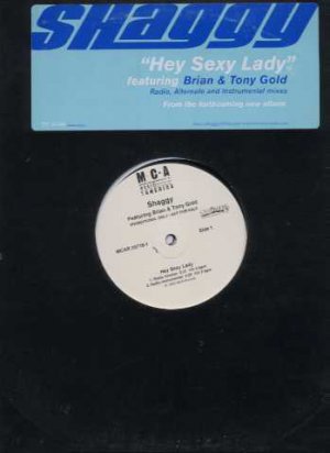 Shaggy ft Brian & Tony Gould - Hey Sexy Lady - UK 12" Single - MCAR25716-1 ex/m