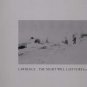 Lawrence - The Night Will Last Forever - Germany 12" Single - 8728026 m/m