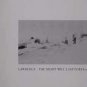 Lawrence - The Night Will Last Forever - Germany 12" Single - 8728026 m/m