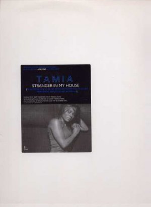 Tamia - Stranger In My House - UK 12" Single - ED6266 ex/m