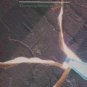 Pallas - Throwing Stones At The Wind - UK 12" Single - 12PLS1 ex/m