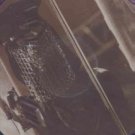 Prince and the New Power Generation - My Name Is Prince - UK 12" Pic Disc - W01