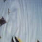 The Big Dish - Slide - UK 12" Single - VS851-12 ex/ex