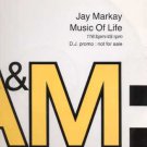 Jay Markay - Music Of Life - UK 12" Single - AMYDJ778 vg/vg