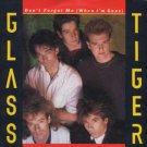 Glass Tiger - Don't Forget Me (When I'm Gone) - UK 7" Single - MT13 ex/m