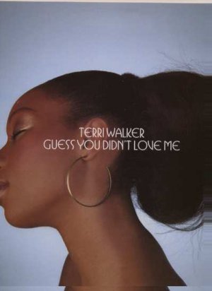 Terri Walker - Guess You Didn't Love Me - EU 12" Single - TERRIDJ3 m/m