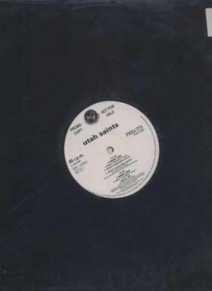 Utah Saints - I Want You - UK 12" Single - FXDJ213 ex/m