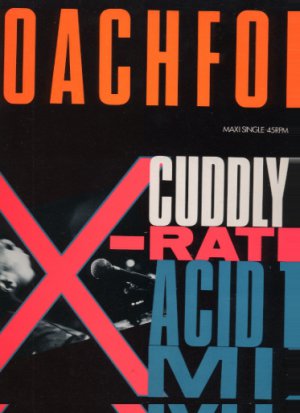 Roachford - Cuddly Toy - UK 12" Single - CBS6516618 ex/m