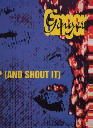 Ginger - Stand Up (And Shout It) - UK 12" Single - ZYX6815-2 ex/m