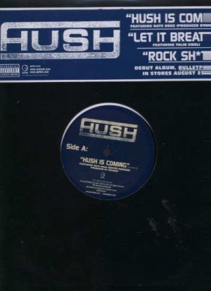 Hish - Hush Is Coming - USA 12" Single - GEFR14761 m/m