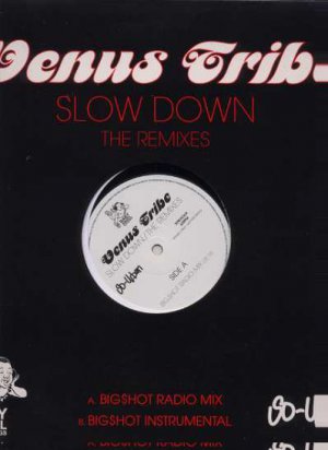 Venus Tribe - Slow Down - UK 12" Single - XPR3556 ex/m