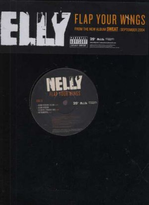 Nelly - Flap Your Wings - UK 12" Single - NELVP2 ex/m