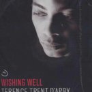 Terence Tent D'Arby - Wishing Well - UK 12" Single - TRENTT2 ex/ex