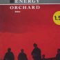 Energy Orchard - Belfast - UK 12" Single - MCAT1392 ex/ex