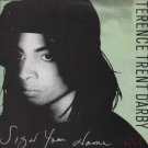 Terence Trent D'Arby - Sign Your Name - UK 7" Single - TRENT4 ex/m