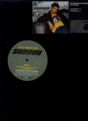 Shaggy - Ultimatum - EU 12" Single - WMCST40447 ex/m