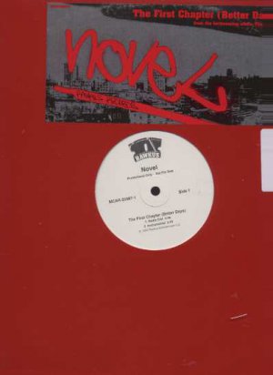Novel - The First Chapter - USA 12" Single - MCAR25987-1 ex/m