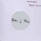 Iceberg Slimm - Bad Boy - UK 12" Single -  ex/ex