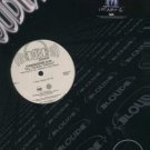 Funkmaster Flex - My Lifestyle - USA 12" Single - RPROLP4566 m/m