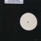 Shaun Escoffery - Into The Blue - UK DBL 12" Single -  ex/m