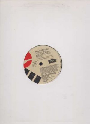 Angie Martinez - Take You Home - UK 12" Single - ED-6382 m/m