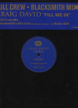 Craig David - Fill Me In - UK 12" Single - 12WILD28RBP ex/m