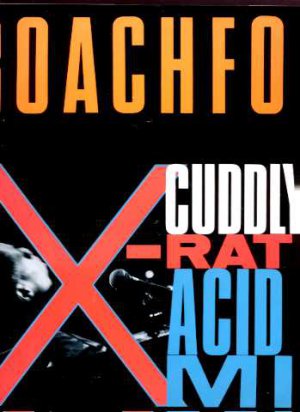 Roachford - Cuddly Toy - UK 12" Single - ROAQT2 m/m