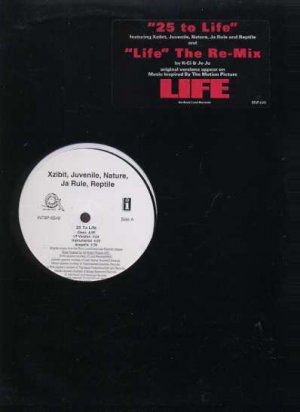 Xxzibit, Juvenile, Nature, Ja Rule, Reptile - 25 To Life - USA 12" Single - INT