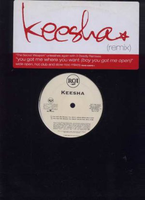Keesha - You Got Me Where You Want - USA 12" Single - RDAB65876-1 ex/m