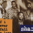 Shai - If I Ever Fall In Love - UK 12" Single - MCST1727 ex/m
