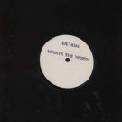 Fat Joe / Lil' Kim - We Run This Shit / What's The Word - UK 12" Single -  ex/m