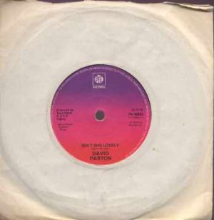 David Parton - Isn't She Lovely - UK 7" Single - 7N45663 ex/ex