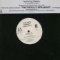 Truth Hurts Ft Rakim - Addictive - ? 12" Single - INTR-10721-1 ex/m