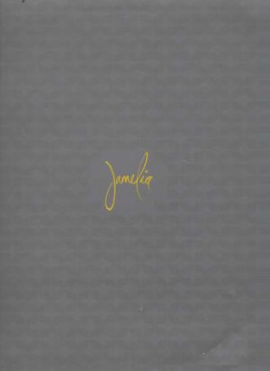 Jamelia - Boy Next Door - UK 12" Single - 12RHYDJX29 ex/m