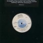 St. Lunatics Ft Cedric The Entertainer - Summer In The City - USA 12" Single -