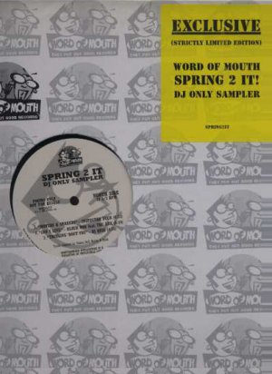 Various - Spring 2 It - USA 12" Single - SPRING21T ex/m