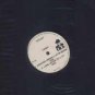 Candi - Dancing Under A Latin Moon - UK 12" Single - WIRMT178 ex/m