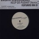 Calvin Richardson - Keep On Pushin' - USA 12" Single - ED11644-1 ex/m