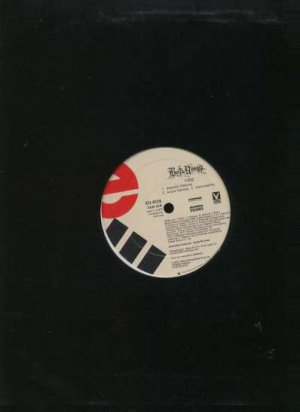 Busta Rhymes - Fire - USA 12" Single - Ed-6235 ex/m