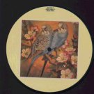 Blancmange - Don't Tell Me - UK 7" Picture Disc - BLAPD7 ex/ex