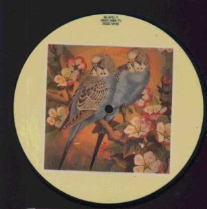 Blancmange - Don't Tell Me - UK 7" Picture Disc - BLAPD7 ex/ex