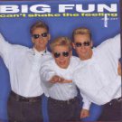 Big Fun - Can't Shake The Feeling - UK 7" Single - JIVE234 ex/m
